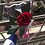 Giang_Nguy_n
