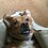 Michelle_Matthes